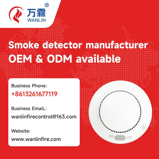 How Southeast Asia Distributors Partner with Wanlin for solo aerosol 6.0 oz Success